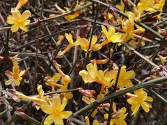 -曲江惠宾苑宾馆(大雁塔大唐不夜城店)