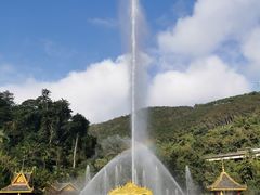 -西双版纳原始森林公园