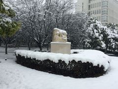 -南京师范大学仙林校区图书馆