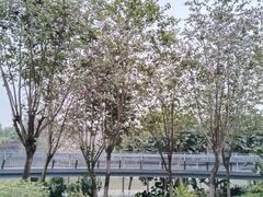 -怡海公园(桂城街道)