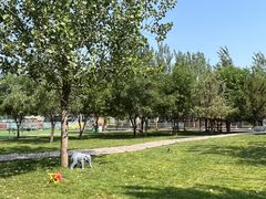 -北京鹿世界主题园