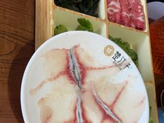 -楚江子·龙继斑鱼庄·洛阳头牌·粥底鱼火锅(太康路店)