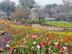 -苏州上方山国家森林公园