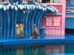 -华夏文旅海洋公园