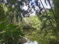 -海南热带野生动植物园