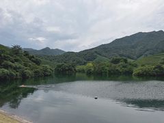 -龙坞茶村