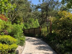 -天目湖涵田半山温泉