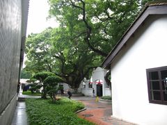 -长洲岛