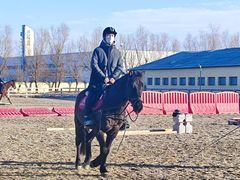 -北京群众马术培训基地