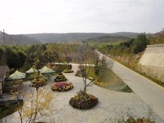 -青藏高原野生动物园