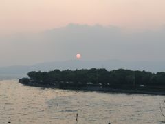 -上海市保健医疗中心