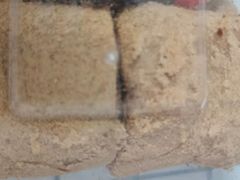 -隆福寺小吃店(东四店)