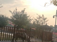 -北京鹿世界主题园