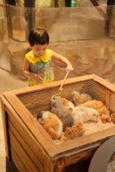 -酷嗒动物文化乐园(cutezoo西溪乐天城店)