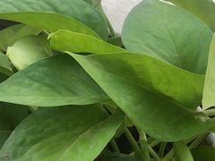 -新太二·鲜料川菜(群光广场店)