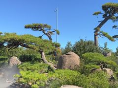 -罗红摄影艺术馆