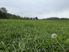 -滨湖塘西河公园