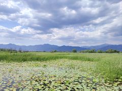 -野鸭湖国家湿地公园