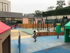 -成都泰迪熊博物馆