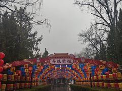 -大槐树寻根祭祖园
