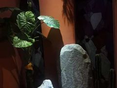 -泰融玺·泰式按摩SPA(包河万达店)