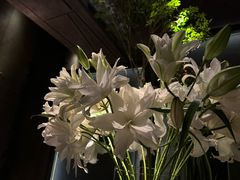 -Love Story爱情故事·养生SPA会所(星都店)
