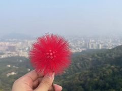 -广州市白云山风景名胜区