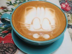 -猫色咖啡·猫咖