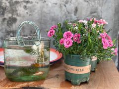 -景迈森林(古华园店)