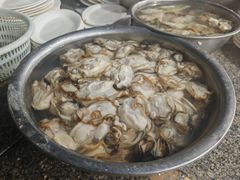 -花苑美食横琴生蚝火锅(拱北粤华路店)