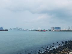 -万绿园
