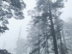 -瓦屋山景区