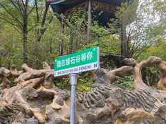 -本溪汤沟绿石谷森林公园