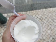 -洪馨椰子