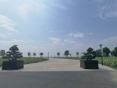 -滆湖低碳生态公园