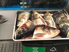 鱼头-北京清河镇农副产品交易市场中心