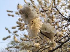 -北京市旧机动车交易市场