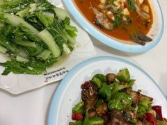 -煲来饱去冷水鱼