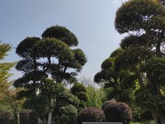 -武汉紫薇都市田园