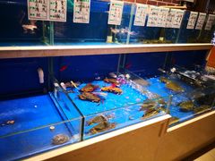水产区-姜君·千岛湖鱼头馆(浦东大道店)