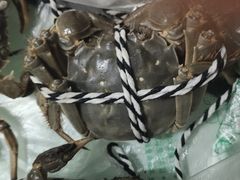 -七的湖·晚芳亭·阳澄湖农家菜·大闸蟹(莲花岛店)