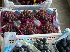 -马陆小张葡萄园农家乐