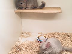 -龙猫仔乐园(惠福东路店)