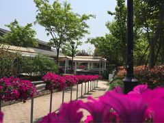 iphone_upload_pic-吴淞炮台湾湿地森林公园烧烤区