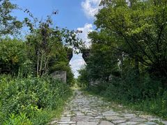 -广富林郊野公园