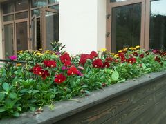 -黔蘑菇四季餐厅(观山湖店)