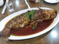 酱焖清江鱼-京天红酒家(虎坊路店)