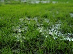 -大理洱海