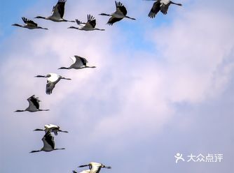 威宁草海｜中国三大高原湖泊之一