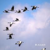 威宁草海｜中国三大高原湖泊之一